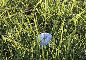 white golf ball buried in grass