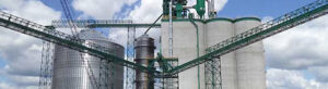 Green Camcorp medium pressure reverse air dust collector installed on top of grain elevator.